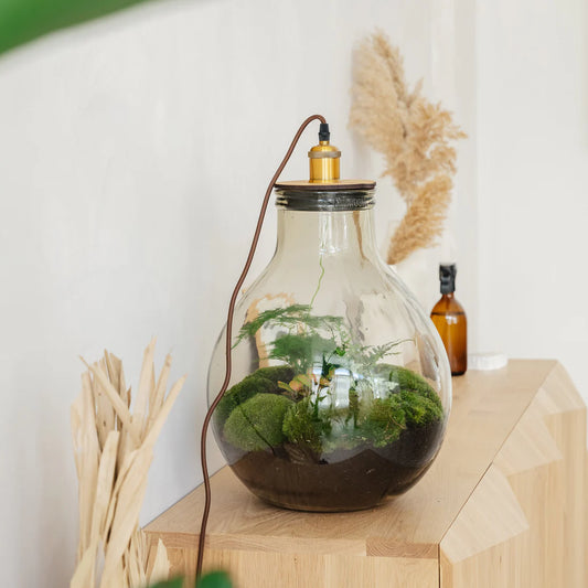Wat is een terrarium?
