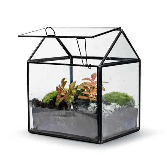 Kan ik een terrarium zelf maken?