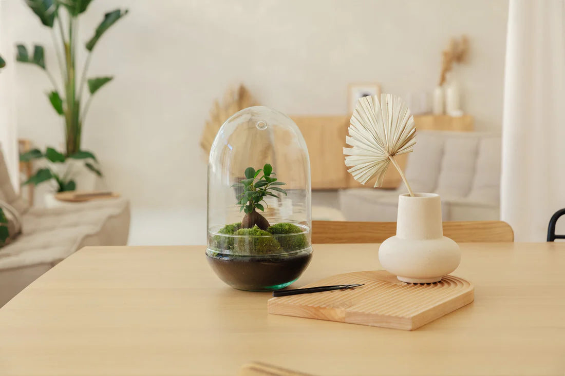 Waarom kiezen voor een Egg Terrarium?