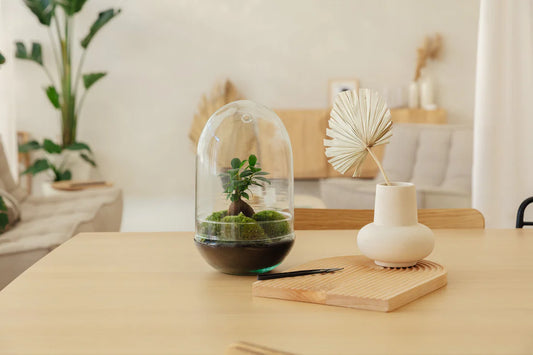Waarom kiezen voor een Egg Terrarium?