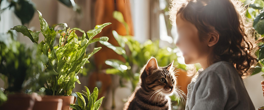 Hoe herken ik giftige planten voor huisdieren en kinderen?