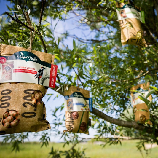 Voed vogels in je tuin met vogel-buffet voor een levendige en gezonde omgeving.