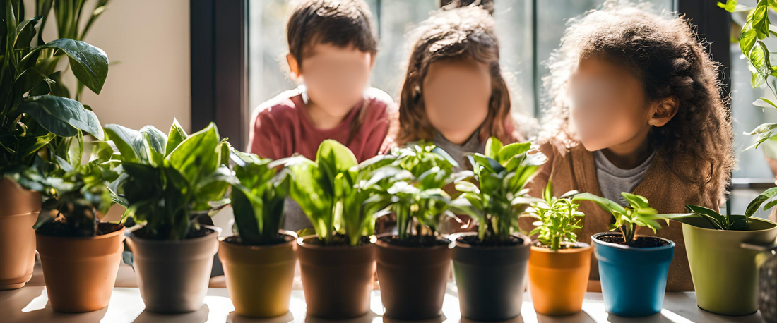 Welke kamerplanten zijn veilig voor kinderen?