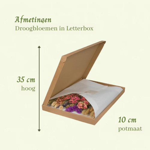 Droogbloemen in Letterbox Roze