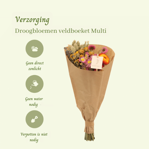 Droogbloemen veldboeket Multi - ↨35cm - Ø15cm
