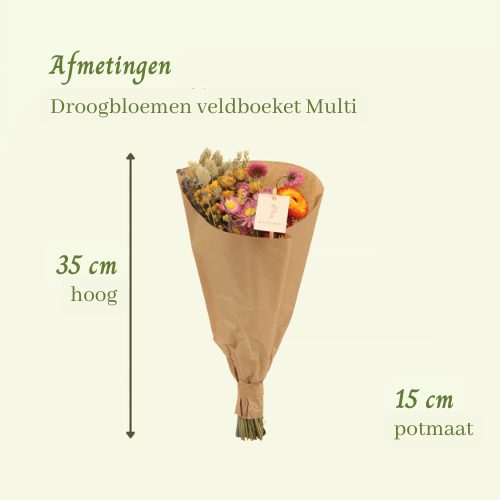Droogbloemen veldboeket Multi - ↨35cm - Ø15cm