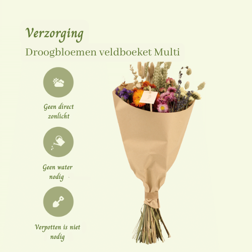 Droogbloemen veldboeket Multi - ↨50cm - Ø20cm