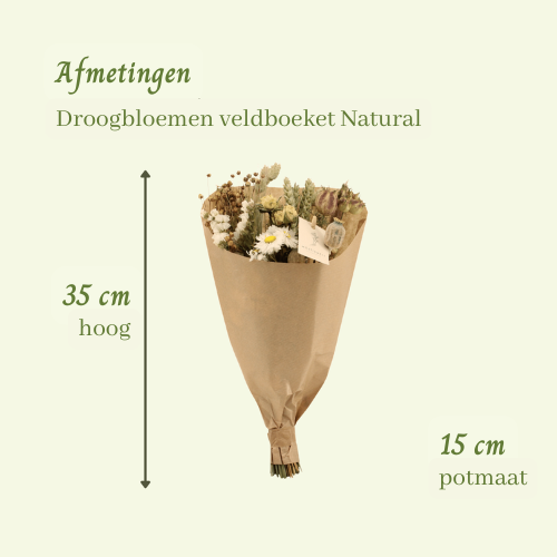 Droogbloemen veldboeket Natural - ↨35cm - Ø15cm