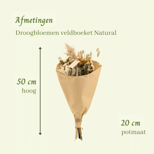 Droogbloemen veldboeket Natural - ↨50cm - Ø20cm