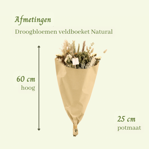 Droogbloemen veldboeket Natural - ↨60cm - Ø25cm