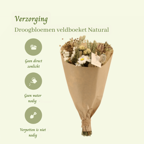 Droogbloemen veldboeket Natural - ↨35cm - Ø15cm