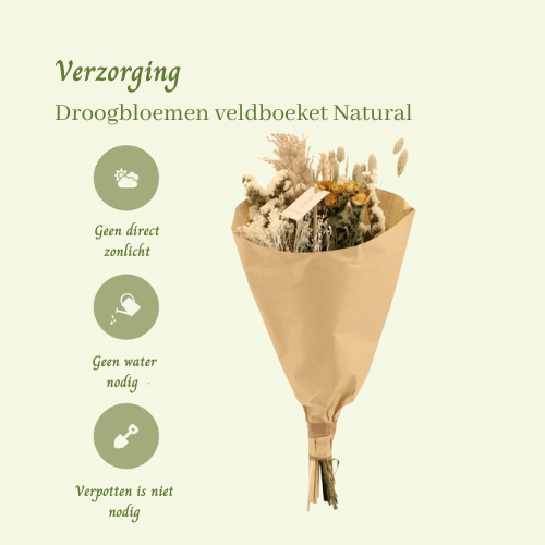 Droogbloemen veldboeket Natural - ↨50cm - Ø20cm