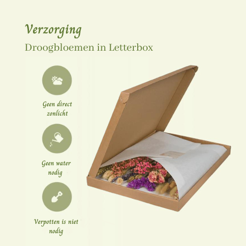 Droogbloemen in Letterbox Roze