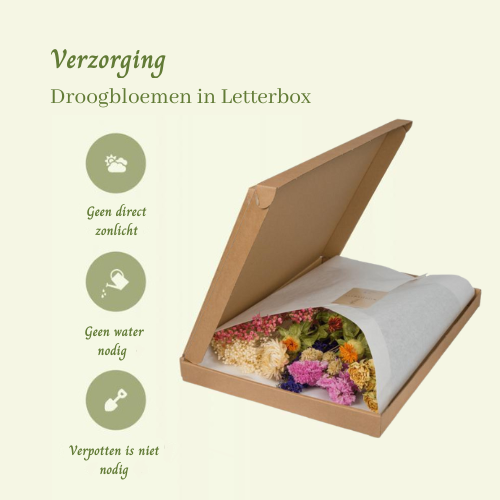 Droogbloemen in Letterbox Multi