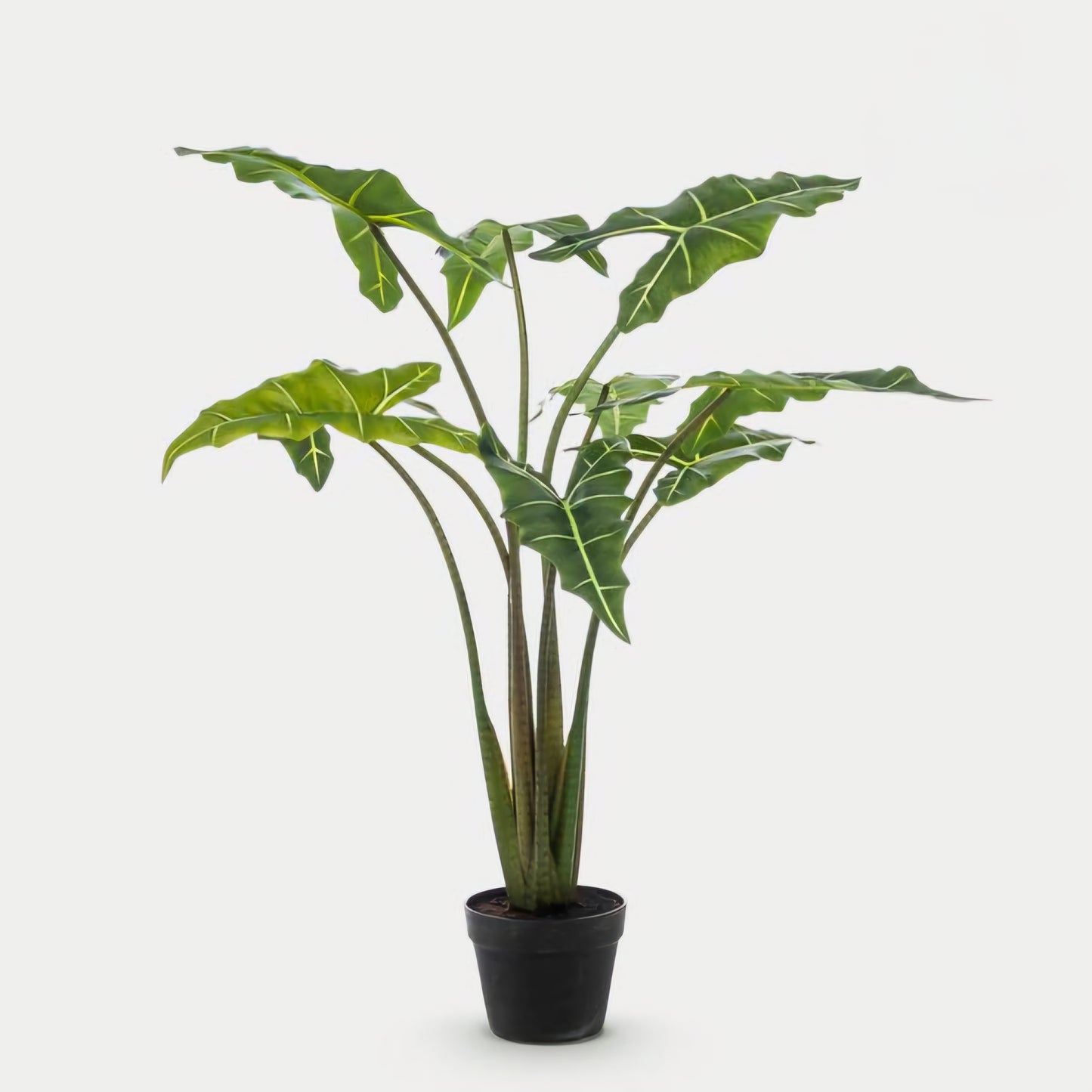 Alocasia Frydek - Olifantsoor - Kunstplant - ↨100cm