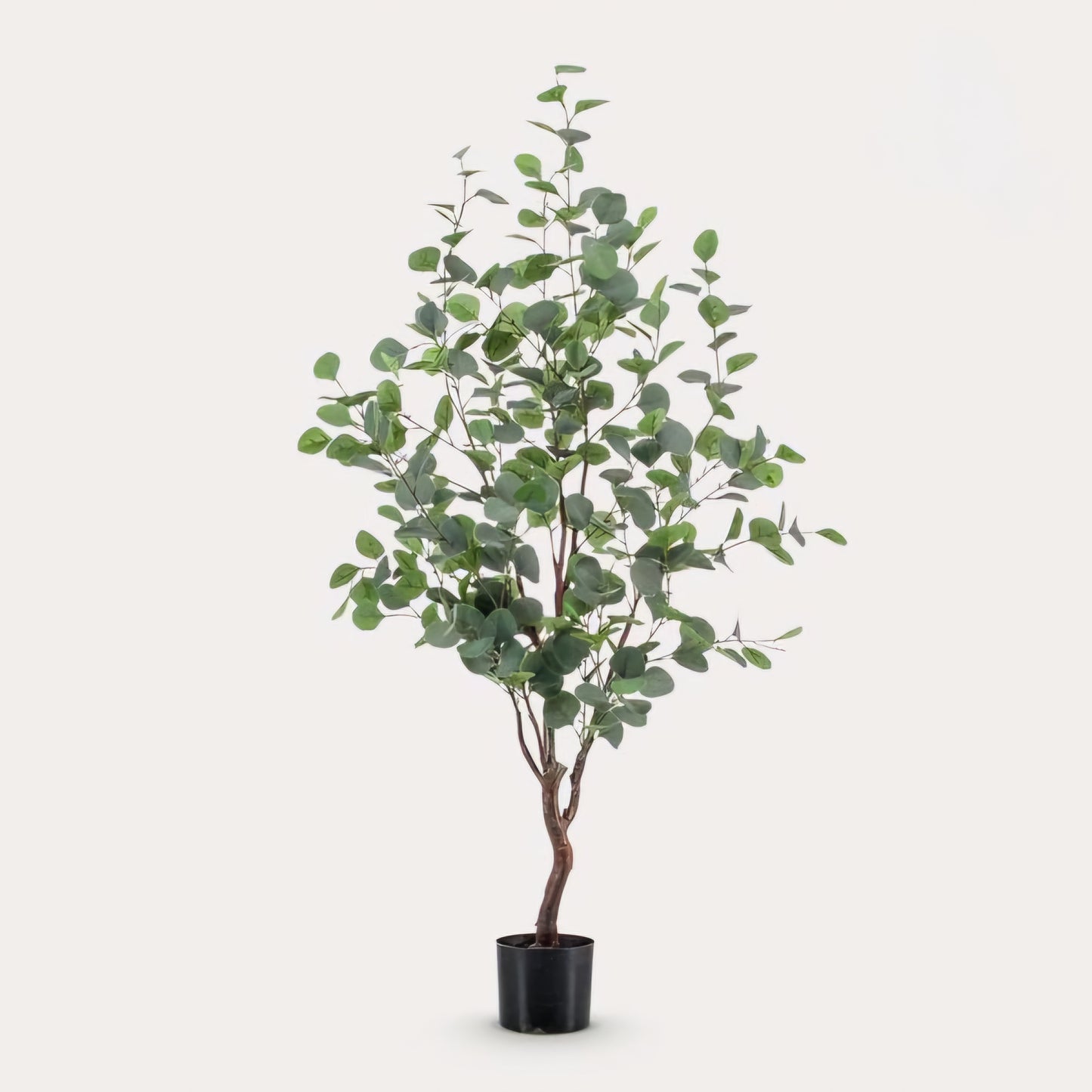Eucalyptus - Blauwe Gomboom - Kunstplant - ↨120cm