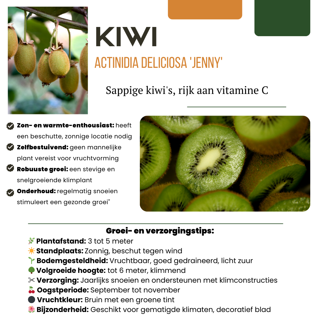 BIO Fruitplanten - mix set van 3 verschillende soorten - Zoete oogst