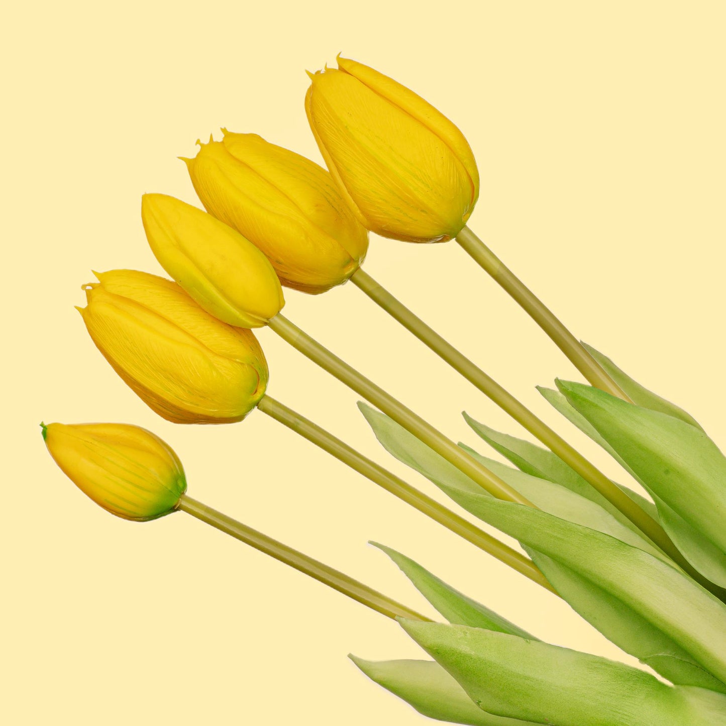 Vaas Lady 'Kylie' ↨27 cm + 10x real touch Tulpen Geel