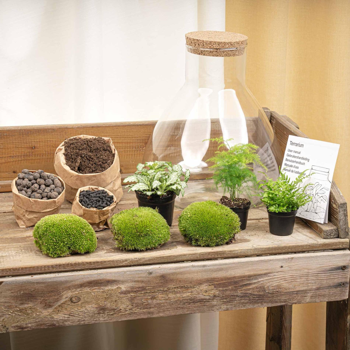 DIY terrarium - Sam XL + LED - ↨35cm