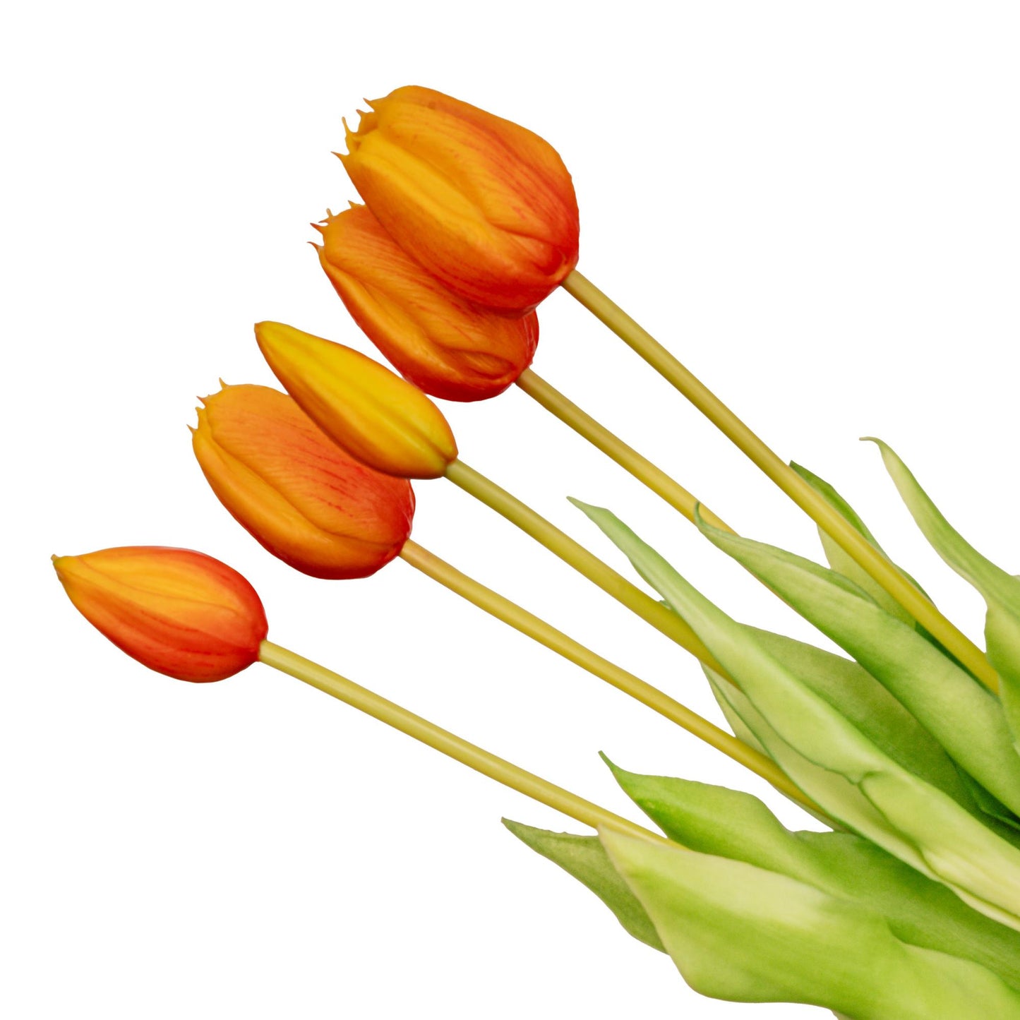 Vaas Lady 'Jessie' ↨27 cm + 10x real touch Tulpen Oranje