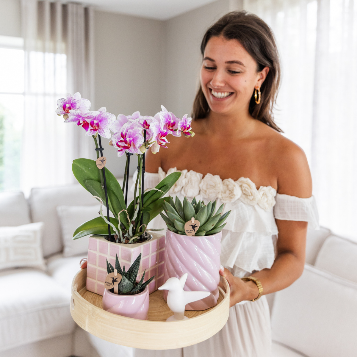 Roze Phalaenopsis orchidee - Mineral Rotterdam - Ø9cm
