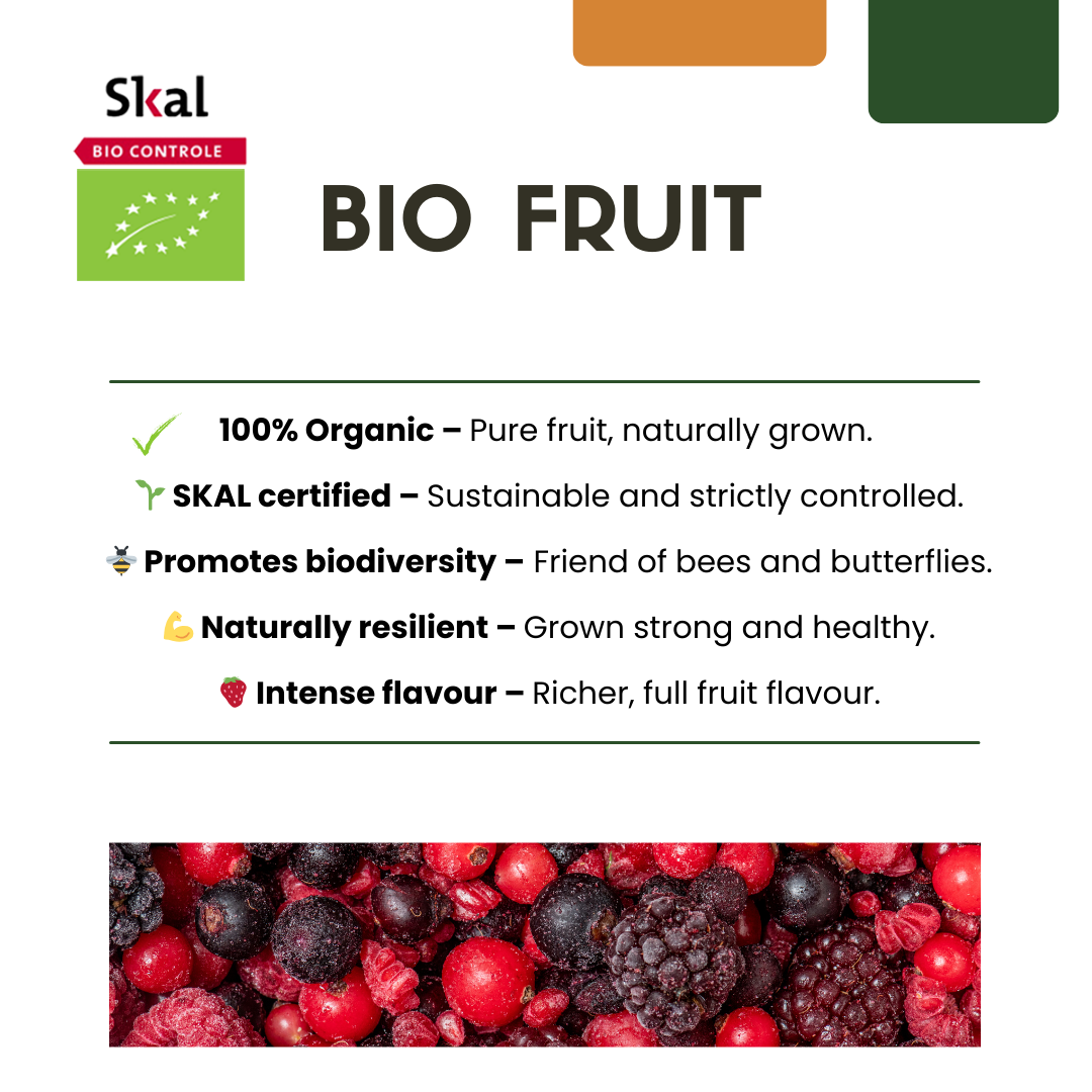 BIO Fruitplanten - mix set van 3 verschillende soorten - Zoete oogst