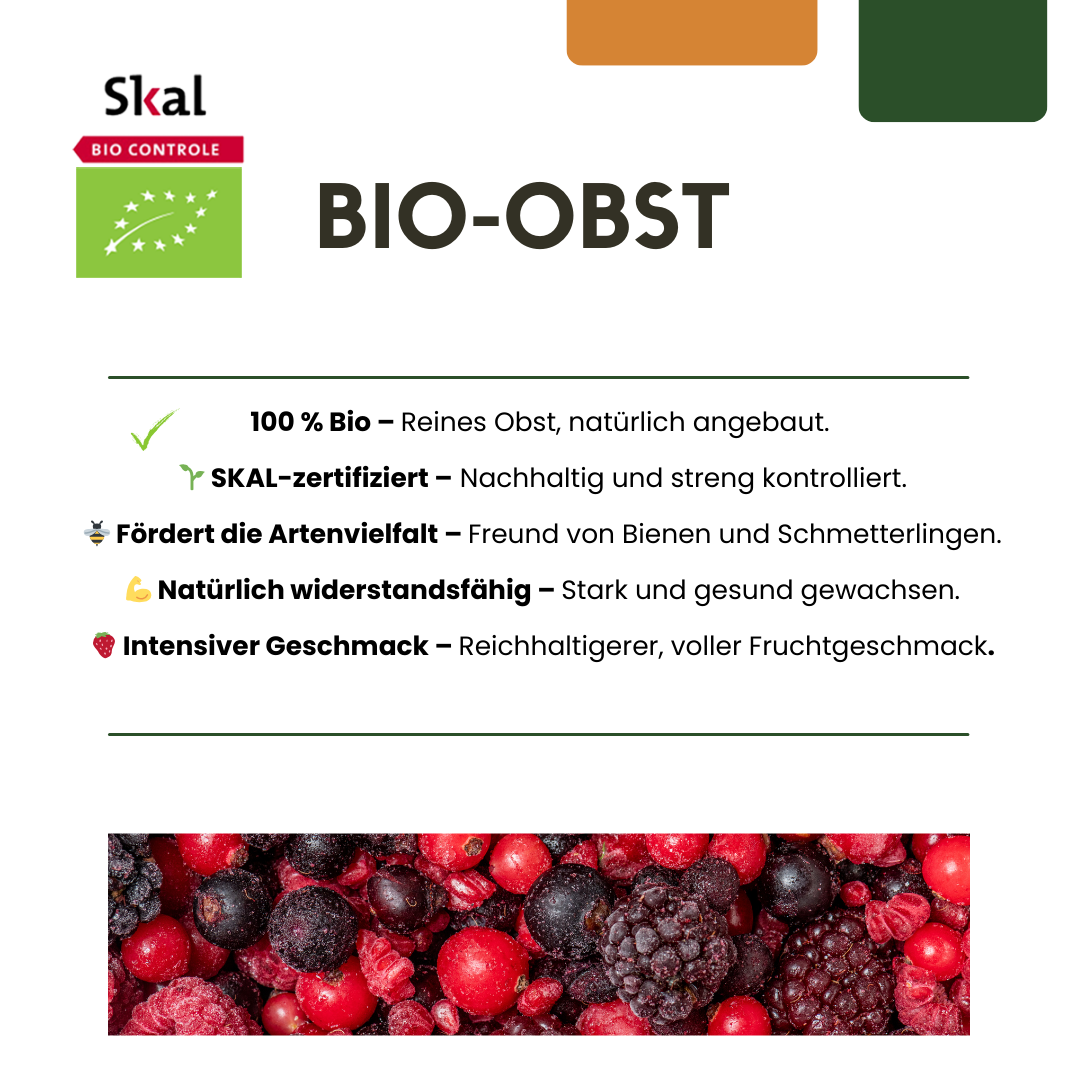 Biologische kiwiplanten - 6 stuks - ↨20cm - Ø13cm