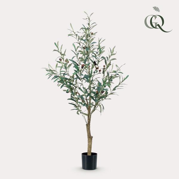 Olea europaea - Olijfboom - Kunstplant - ↨115 cm
