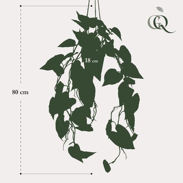 Philodendron scandens - Klimmende Boomliefhebber - Kunstplant - ↨80 cm