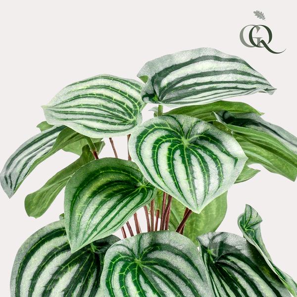 Peperomia Argyreia - Watermelon - Kunstplant - ↨25cm