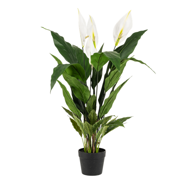 Spathiphyllum - Lepelplant - Kunstplant - ↨90cm