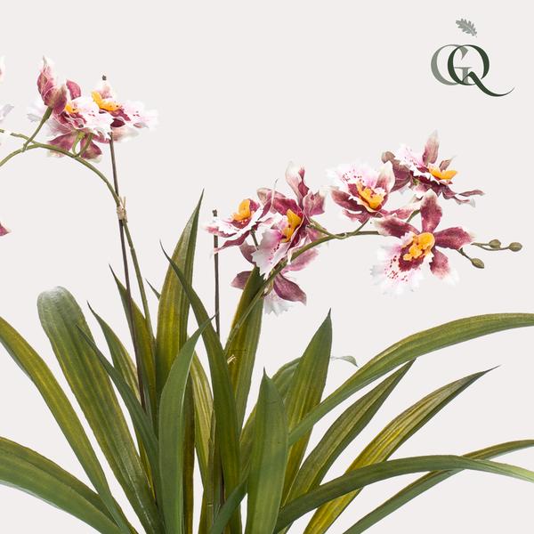 Orchidee - Bordeaux - Kunstplant - ↨45cm