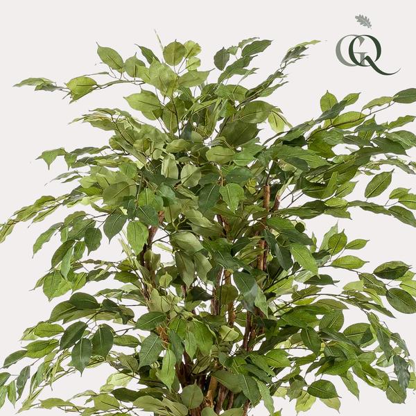 Ficus liana - Vioolbladplant - Kunstplant - ↨170cm