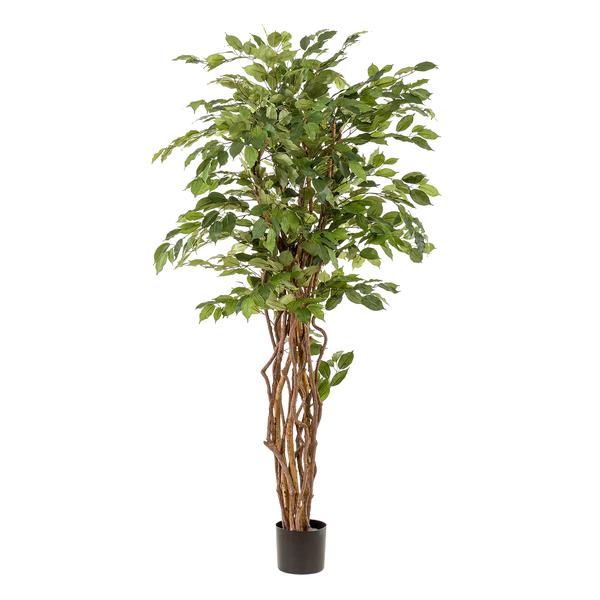 Ficus liana - Vioolbladplant - Kunstplant - ↨170cm