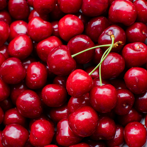 Biologische Kersenboom Prunus Avium - ↨60cm - Ø20