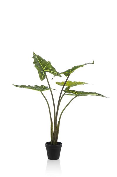 Alocasia Frydek - Olifantsoor - Kunstplant - ↨80cm