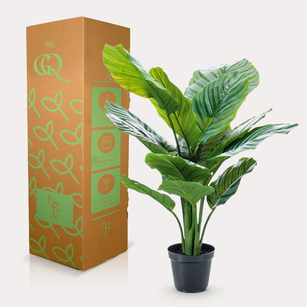 Calathea Orbifolia - Schaduwplant - Kunstplant - ↨60cm