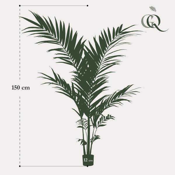 Kentia - Kentiapalm - Kunstplant - ↨150cm