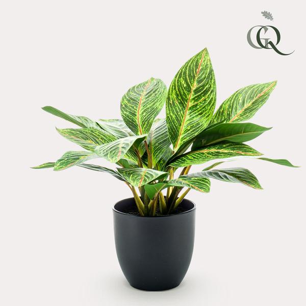 Croton Codiaeum - Wonderstruik - Kunstplant - ↨38 cm