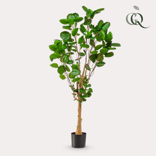 Polyscias - Aralia - Kunstplant - ↨150cm