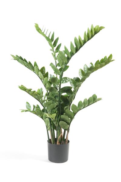 Zamioculcas - Kamerpalm - Kunstplant - ↨110cm