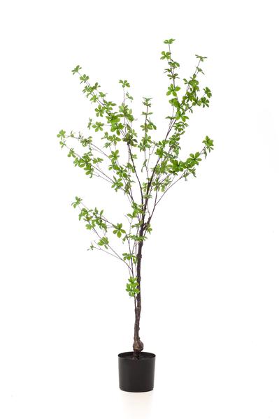 Tropaeolum Speciosum - Oost Indische Kers - Kunstplant - ↨150 cm