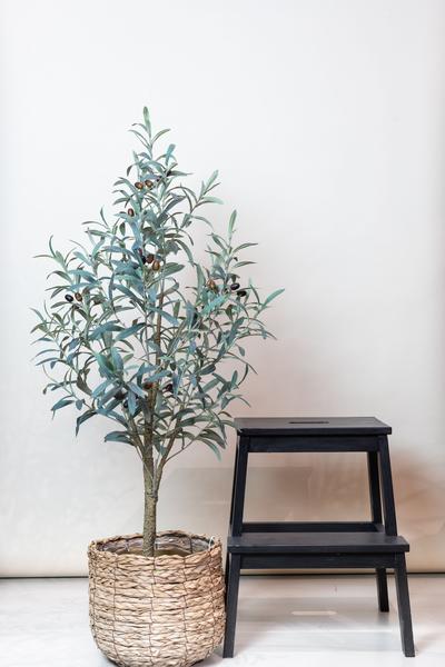 Olea europaea - Olijfboom - Kunstplant - ↨115 cm