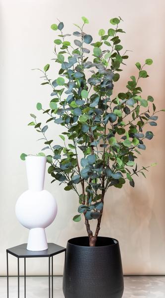 Eucalyptus - Blauwe Gomboom - Kunstplant - ↨180cm