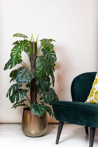 Monstera Deliciosa - kunstplant - ↨120cm