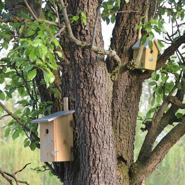 Observatienestkast - Vogelhuis met zinken dak