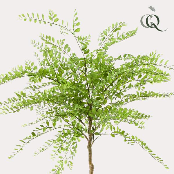 Sophora tree - Honingboom - Kunstboom - ↨190cm