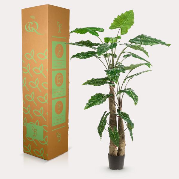 Alocasia - Olifantsoor - Kunstplant - ↨180cm
