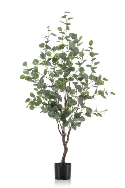 Eucalyptus - Blauwe Gomboom - Kunstplant - ↨120cm