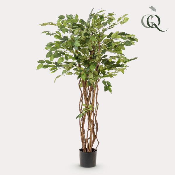 Ficus liana - Vioolbladplant - Kunstplant - ↨140cm